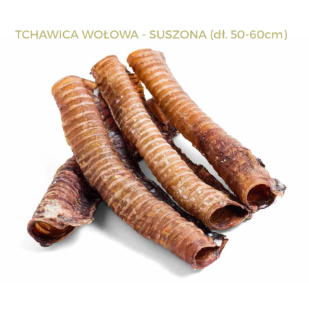 Tchawica wołowa XXL 50-60 cm